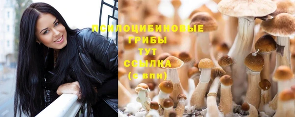 скорость Абаза
